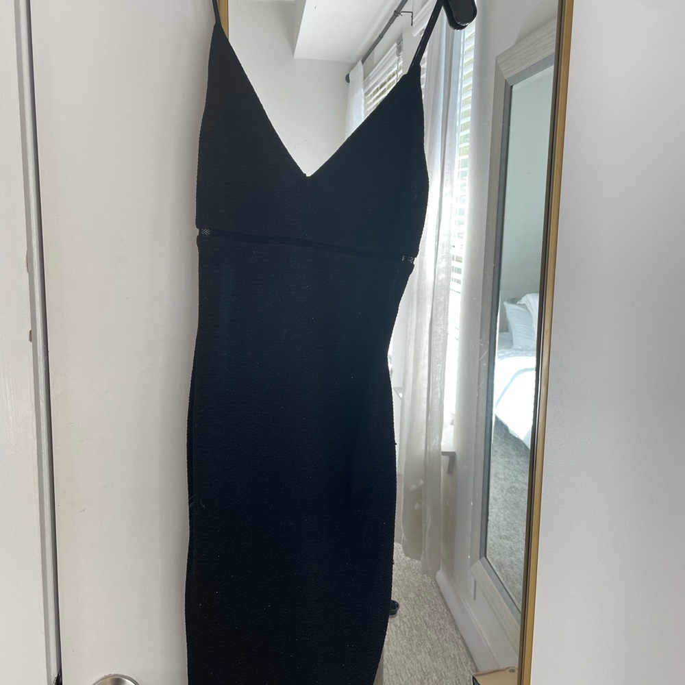 Alice and Olivia Mesh Body Con Dress